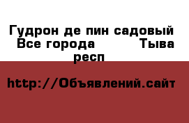 Гудрон де пин садовый - Все города  »    . Тыва респ.